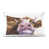Vache brune