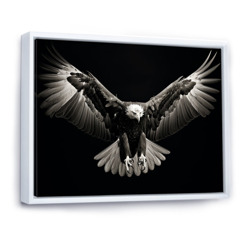«Bold Eagle Power Hunter IV», reproduction sur toile, Cadre flottant blanc, H 24 po x l 32 po x P 1 po