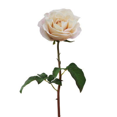 PRINCESS ROSE STEM