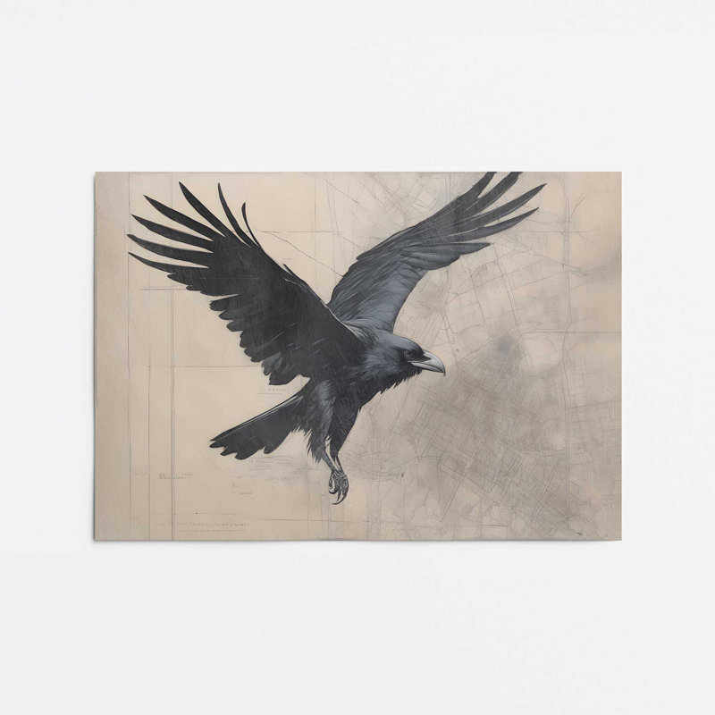 «Majestic Raven in Motion», impression roulée, H 8 po x l 10 po
