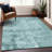 Machine Washable Indoor/Outdoor Chayden ACN1062 Rug-1379042483