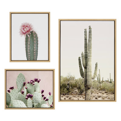 Ensemble d'art mural sur toile Sunrise Cactus, Pink Cactus Flower and Cactus 25 par Amy Peterson