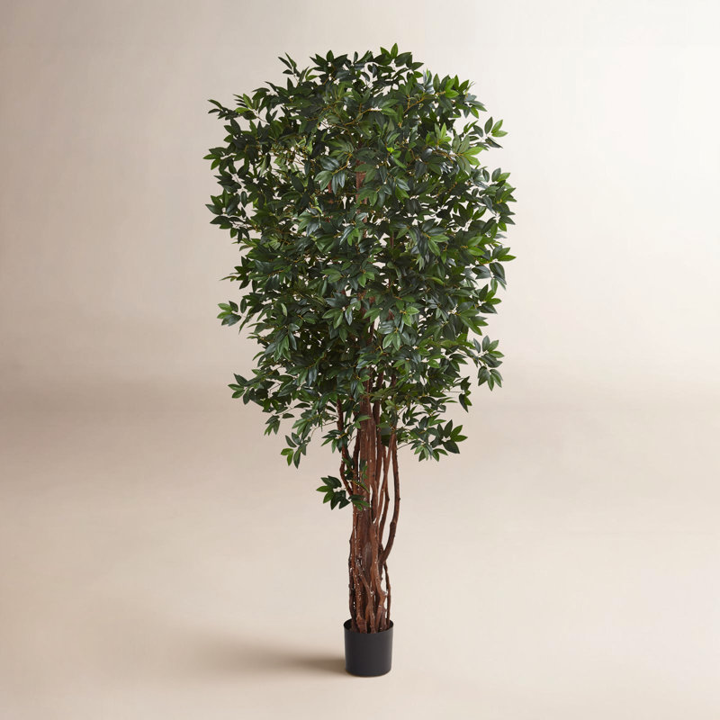 90'' Faux Lychee Tree in Pot
