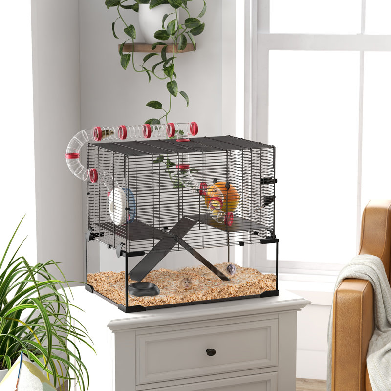 Cage à hamster avec fond en verre profond, système de tube tunnel