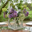 Anastasija Arrangement