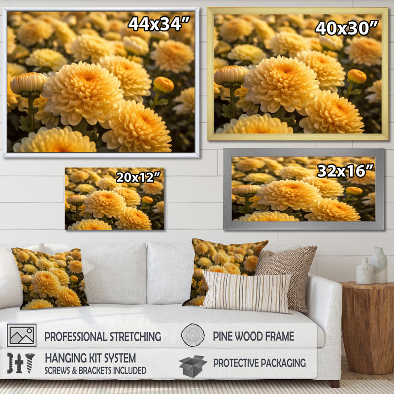 «Yellow Chrysanthemums Field» sur impression sur toile, Cadre flottant doré, H 30 po x l 40 po x P 1,5 po
