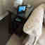 Customer photo 2 of 2