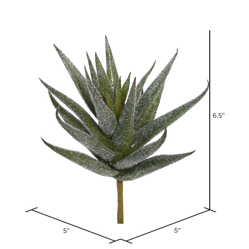 Plante succulent artificielle pour le bureau