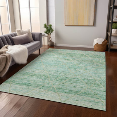 Machine Washable Indoor/Outdoor Cinead ACN1658 Aloe Rug