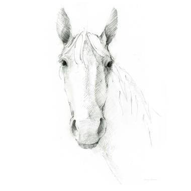 Gracie Oaks Ranch Horse Line Drawing Front View On Canvas by