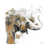 Toile tendue