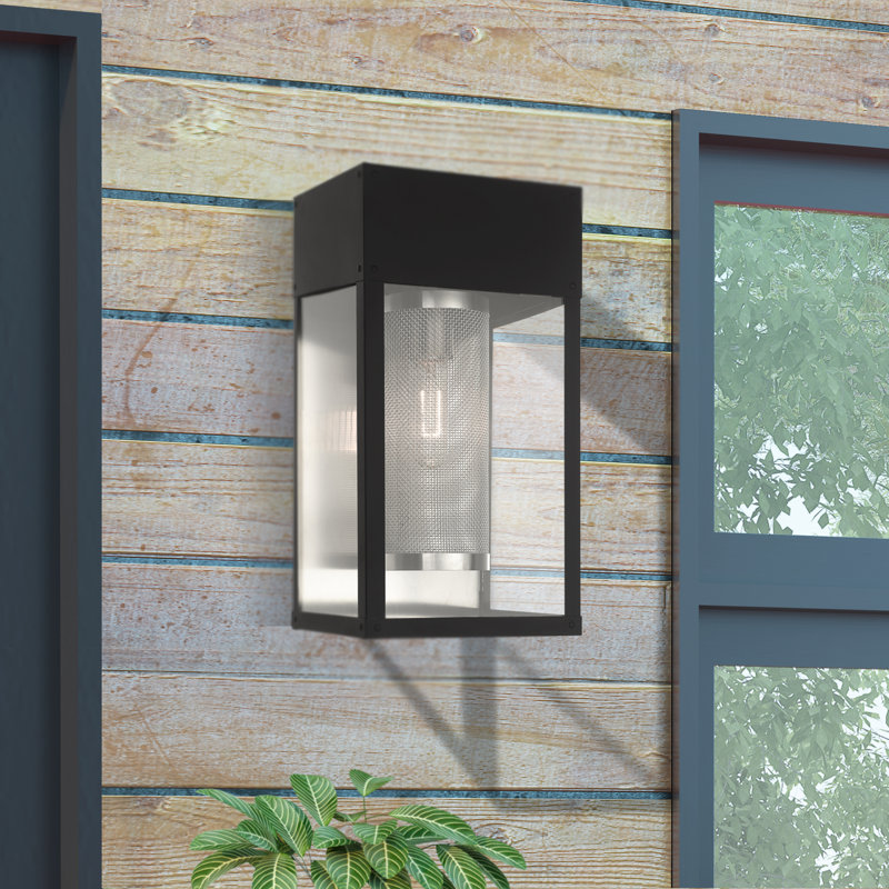 Araly Stainless Steel Wall Light, 16" H x 8" W x 8" D