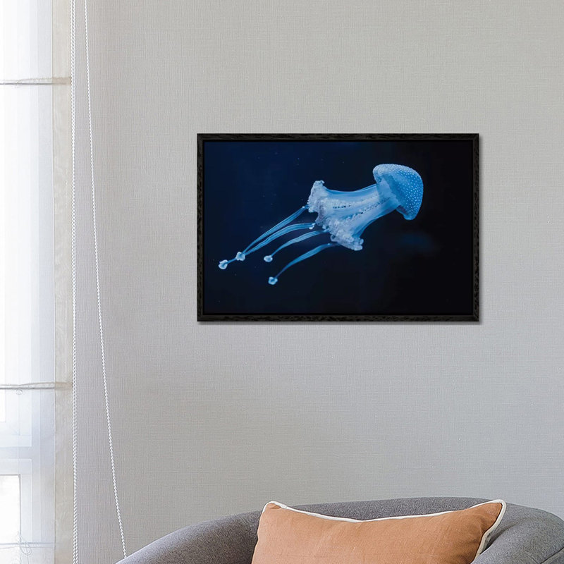 Life Could Be A Dream by Chelsea Victoria - Gallery-Wrapped Canvas Giclée on Canvas, 66.04 cm H x 45.72 cm W, Black Framed