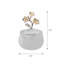 Contenant de rangement Spandrel - Pot en verre onyx avec couvercle décoratif, cadeau de Noël élégant
