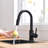FLG Kitchen Faucet-89657023