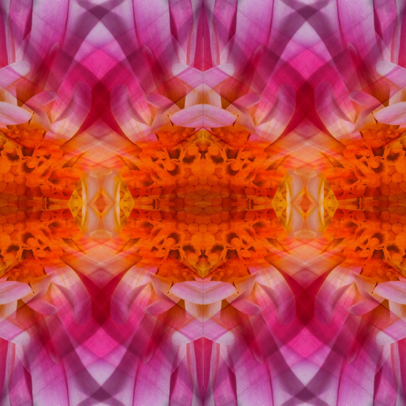 Lillian August " Burnt Orange Kaleidoscope " by Lillian August