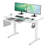 Tempered Glass Top Height Adjustable Standing Desk, Computer Desk with Drawer and USB Charge-1008077183-1006698346