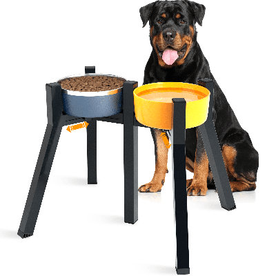 Bols surélevés en métal 2 en 1 pour bols, mangeoire réglable pour support à nourriture pour chien, bol surélevé pour chiens de grande et moyenne taille (bol non inclus)
