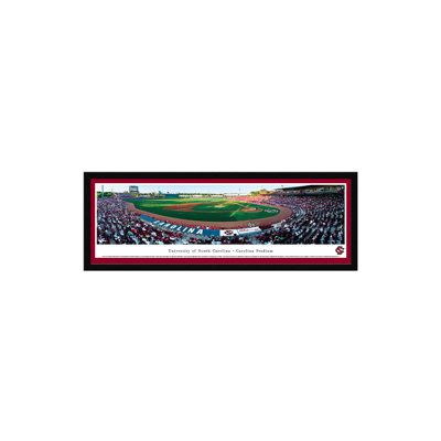 NCAA South Carolina Baseball Framed Photographic Print on Paper