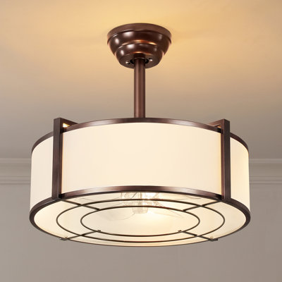19'' Modern Ceiling Fan With Light