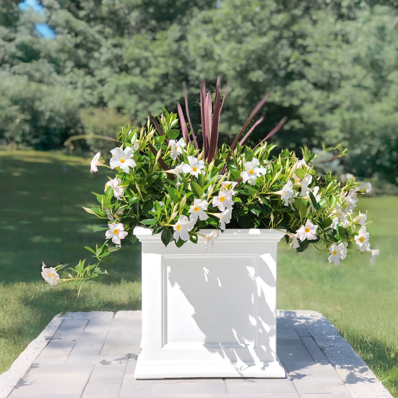 Anastasiya Pot Planter, White