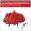 Arbre de Noël rouge - Arbre en PVC rouge pur avec 624 pointes, branches articulées pour une installation facile, support en métal stable, décoration audacieuse des Fêtes