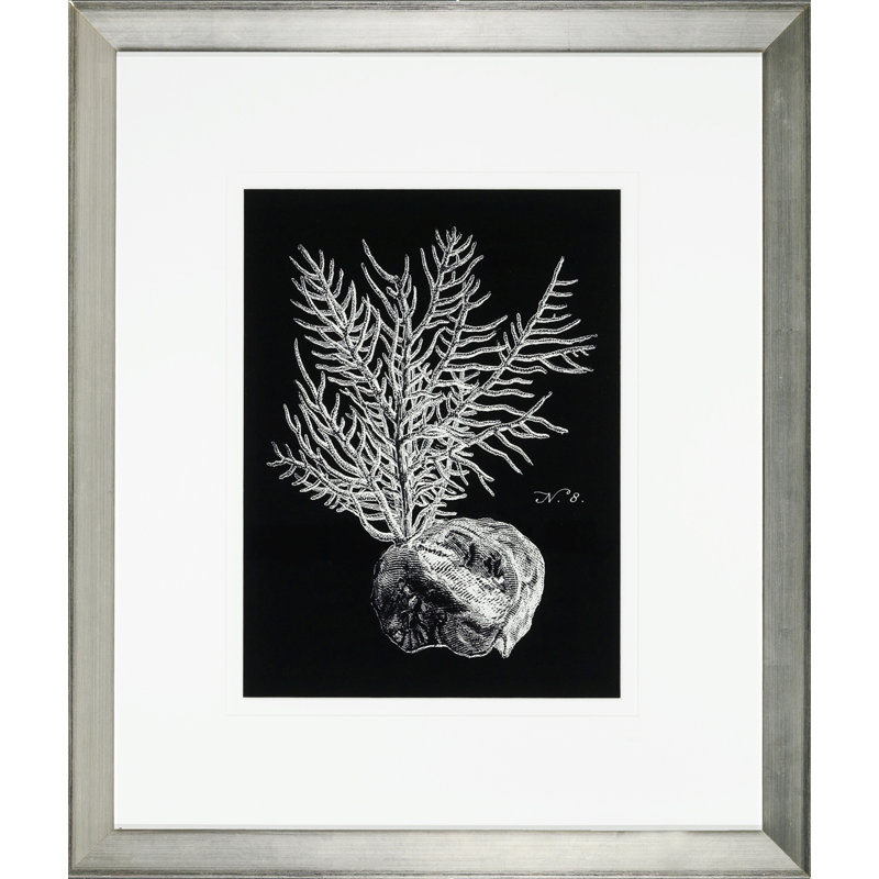 Black And White Coral IV Print