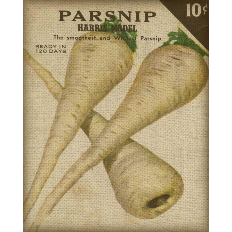 Art sur toile tendue par Trinx Fagalde, Jarman, Heirloom Variété IV, H 18 po x l 15 po