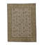 Wool Oriental Area Rug in Gold