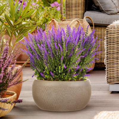 Concrete Effect Bowl Planter, Frostproof Outdoor Plant Pot, Garden Planter with Drainage Holes, Bonsai Pot, Shallow Planter with Mesh Pattern