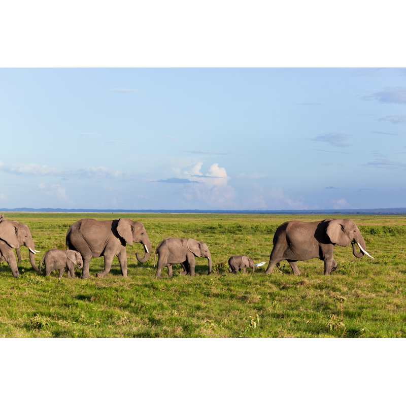 Elephants Herd On Savanna. Safari In Amboseli, Kenya, Africa by NiseriN - Wrapped Canvas Print, 30cm H x 46cm W x 3.8cm D