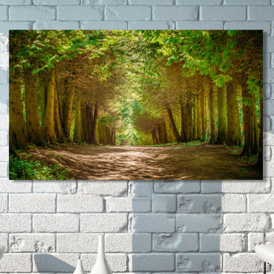 " Walkway Lane Path "