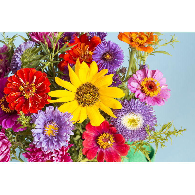 Idaville Colourful Flowers - Wrapped Canvas Print, 51cm H x 76cm W x 3.8cm D
