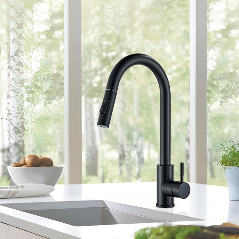 Moverlesenk Kitchen Faucet Side Spray