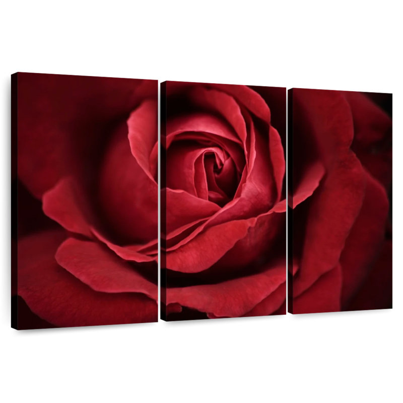 Pétales de rose Harnek, H 42 po x l 65 po