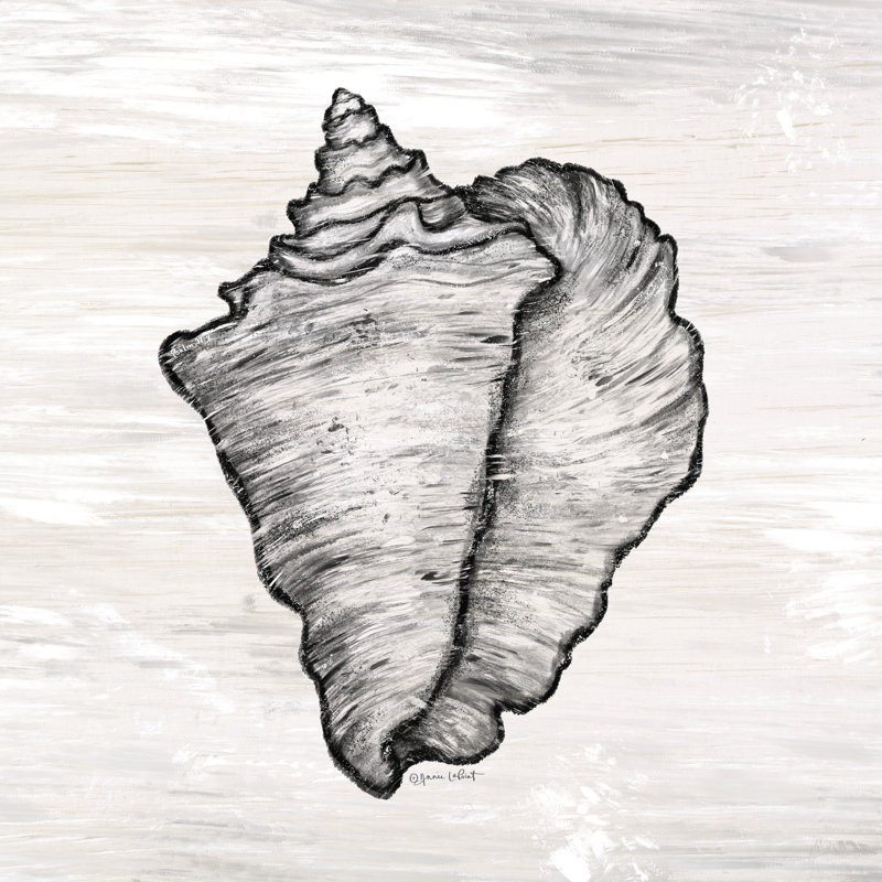 «Caran Conch Shell on Canvas» par Annie Lapoint, reproduction, H 12 po x l 12 po