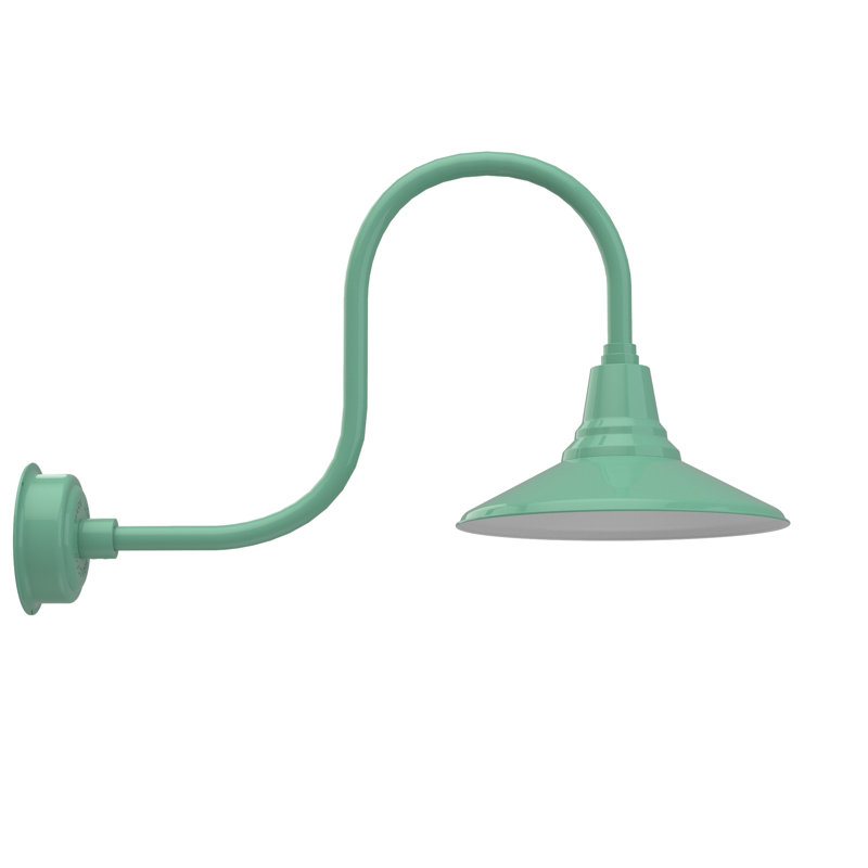 Luminaire de grange d’extérieur à del Albali, H 9 po x l 14 po x P 17 po, Jade