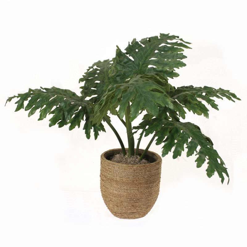 Plante artificielle en panier 36 "Philodendron