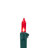 100-Count LED Mini Christmas Lights 33ft Wire-1091993311