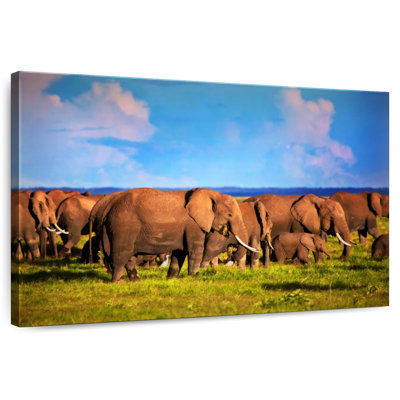 Brampt Calm Morning Elephants