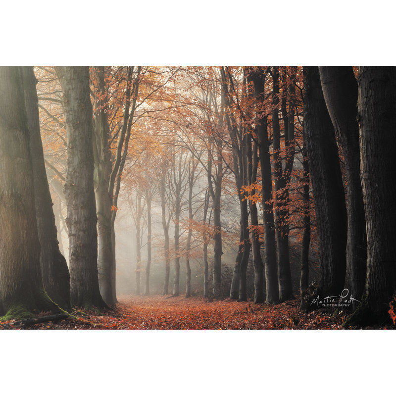 Autour du coin - photographie, H 8 po x l 12 po x P 1,25 po, Non, Toile tendue