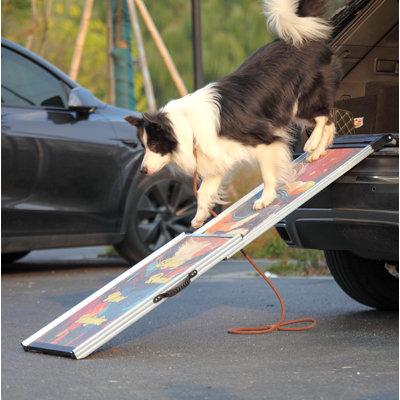 Rampe rétractable pour chien en aluminium, marches pour animaux de compagnie portables pour véhicules utilitaires poids lourds, rampe télescopique pour chien avec surfaces antidérapantes, motifs colorés