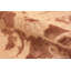 Tapis antique Agra