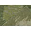 Handmade Silk and Wool Area Rug