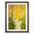 Walnut Framed
