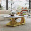 Table basse moderne en pierre frittée avec base en acier inoxydable pour le salon, facile à nettoyer