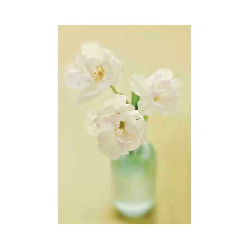 Tulips by Mandy Lynne - Wrapped Canvas Print, 20.32 cm H x 30.48 cm W