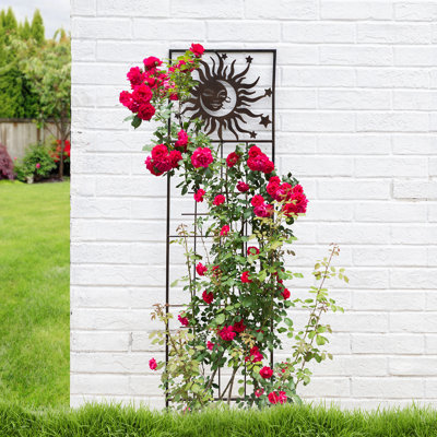 48"H Metal Sun Garden Trellis, Garden Stake