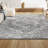 Blane Modern Persian Vintage Medallion Light Gray Rug-1497403767