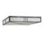 Whitewing 4 - Light